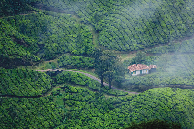 munnar